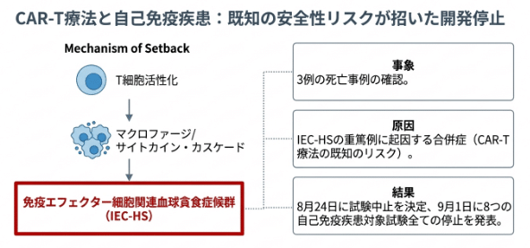 YTB323:CAR-T療法で3例の死亡事例、免疫エフェクター細胞関連血球貪食症候群による試験中止