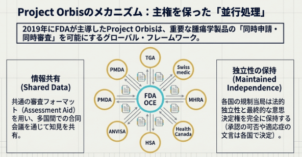 Project Orbisの仕組み:各国が独立性を保ったまま並行審査(筆者作成)